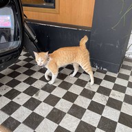 Nana Bakery มีโชค