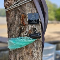 The Mangrove Panwa Phuket Resort