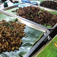 มีตังค์ข้าวกล่อง