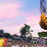 ร้านอาหารหงษ์หยกอาหารป่า