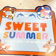 Midori Specialty Matcha