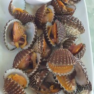 เมนูของร้าน ครัวลุงเต้น จันทบุรี