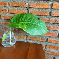 บรรยากาศ balance coffee house