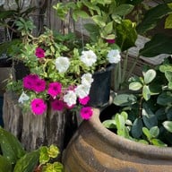 ลาบกกเบน๙