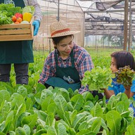 Farm Foods Market Ruamchok Mall