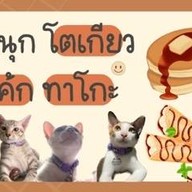 ตินตินไข่กะทะ ขนมปังปิ้ง ผัดกระเพรา กาแฟ ตินตินสาขา 1