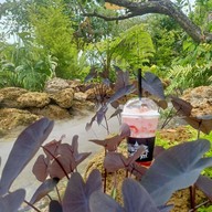 Ma De’ Phu Wiang - มาเด้อ ภูเวียง