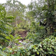Happy Garden