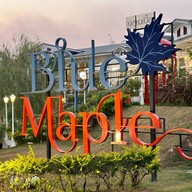 Blue Maple