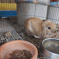 บรรยากาศ PARADISE GARDEN HUA HIN