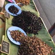 มีตังค์ข้าวกล่อง