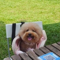 Arvie พระราม3