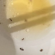 กินกันจังชาบู พรีเมี่ยม ตลาดพลู