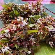 ตลาดสดเทศบาลนครสกลนคร(ตลาดบายพาส)