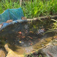 ครามสกล