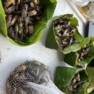 ตลาดสดเทศบาลนครสกลนคร(ตลาดบายพาส)
