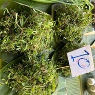 ตลาดสดเทศบาลนครสกลนคร(ตลาดบายพาส)