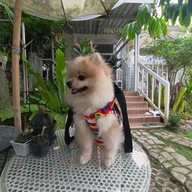 บ้านสวนพันวา