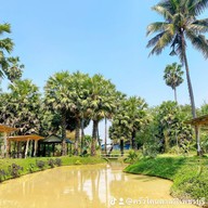 ครัวโคนตาล