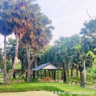 ครัวโคนตาล