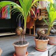 ต้มยำเส้น ริมน้ำจันทบูร