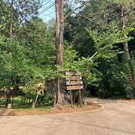 ลานกางเต็นท์ดงสน อุทยานแห่งชาติดอยอินทนนท์