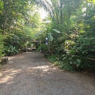 บรรยากาศ The Treehouse Nongchok