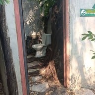 บรรยากาศ The Treehouse Nongchok