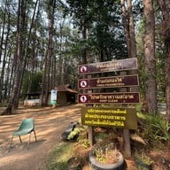 ลานกางเต็นท์ดงสน อุทยานแห่งชาติดอยอินทนนท์
