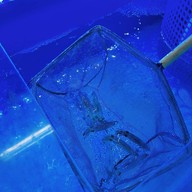 Kaitei Seafood Izakaya