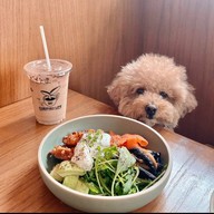 Kaizen Coffee 00000