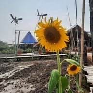 บรรยากาศ รถเมล์