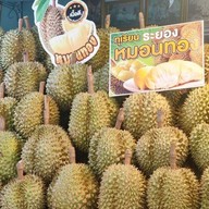 ทุเรียน&ผลไม้ตามฤดูกาล ทุเรียนมหาชัย