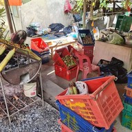 ข้าวหลามน้ำกะทิ ดอยสะเก็ด