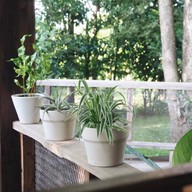 บ้านสวนจันทิตา