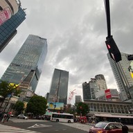 Shibuya Crossing