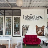 ไอติมก้นโอ่ง Icecream&Cat Cafe หัวหิน