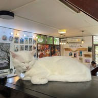 ไอติมก้นโอ่ง Icecream&Cat Cafe หัวหิน