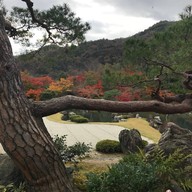 Tenryuji temple