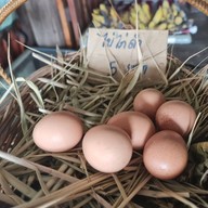 บ้านอาหารป่ายอดแก้ว ไก่ดำอินดี้