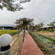 บรรยากาศ หลังบ้านคาเฟ่
