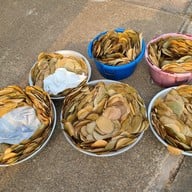 กาละแม พรประเสริฐ