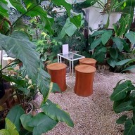 Rosetta Coffee เจริญกรุง