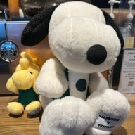 Starbucks Aeon mall narita