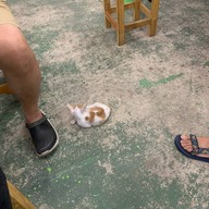 ร้านขอพรหม่าล่า 乐口福餐馆 (ถนนสีขาว)