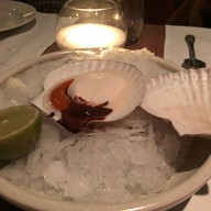 White Rabbit , Moscow