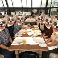 White Rabbit , Moscow