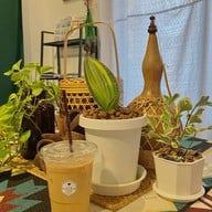 229 Café Pakchong