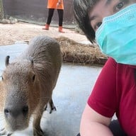Alpaca Hill