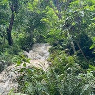 น้ำตกบัวตอง